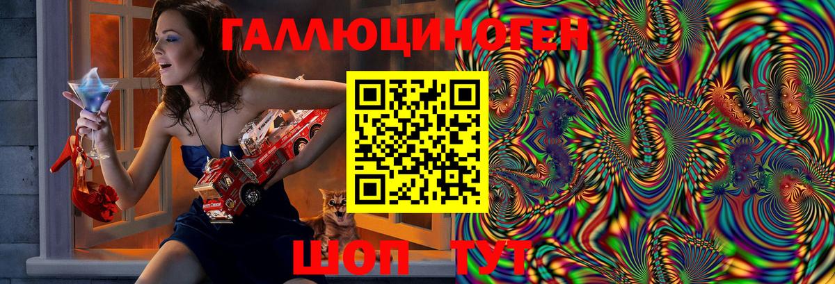 Псилоцибиновые грибы Cubensis Новокуйбышевск