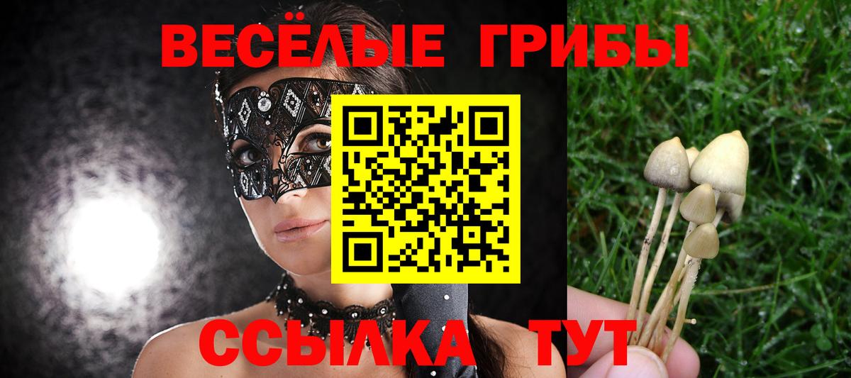 Галлюциногенные грибы мухоморы  Вход с VPN  Новокуйбышевск  Галлюциногенные грибы Psilocybe 